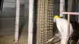 Spritzbeton wird zur punktuellen Ausbesserung bis hin zur umfassenden Betonsanierung verwendet.